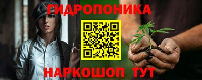 индика Кимры
